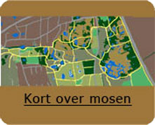 Kort-over-mosen_ny